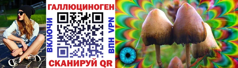 darknet официальный сайт  Ахтырский  Псилоцибиновые грибы Psilocybine cubensis 
