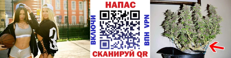 как найти закладки  Ахтырский  Конопля планчик 
